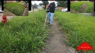 Extremely Overgrown Yard Transformation (tallest yard we’ve cut)