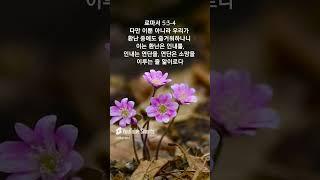 말씀찬양 로마서 5:3-4