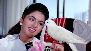 Best Of Bhagyashree | Maine Pyar Kiya Best Scene | Salman Khan | Maine Pyar Kiya Scenes