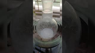 Preparations of phthalimide from phthalic anhydrous # chemistryexperiments #chemistryeducation #alka