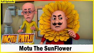 মোটু পাতলু - মোটু পাতলু সম্পূর্ণ পর্ব | Motu Patlu - Motu Patlu Full Episode  |