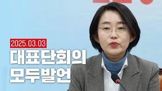 3.1절 극우 내란선동 국민의힘, 퇴출시켜야  : 제34차 대표단회의 모두발언 김재연 대표 외