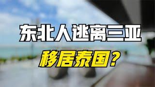 东北人开始逃离三亚，移居泰国？普通人养老到底选哪里？5个真相