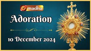  LIVE | 10 December 2024 | Adoration 11:00 AM | Madha TV