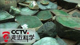 《走近科学》翡翠原石（上）如何挑选翡翠石料？ | CCTV走近科学官方频道