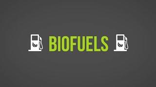 Biofuels 101