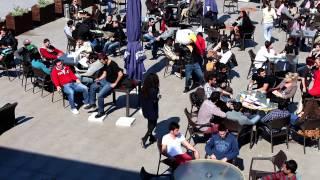 The American University Cyprus -  Harlem Shake