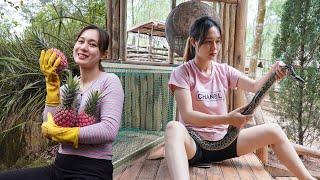 FULL VIDEO: 120 Days Catch PYTHON on the Farm - Harvest Pineapple Goes to Market Sell | Green Life