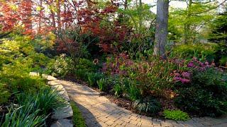 Backyard Garden Oasis