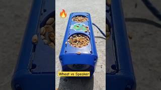 Wheat  vs MZ Portable Bluetooth Speaker Bass Test 