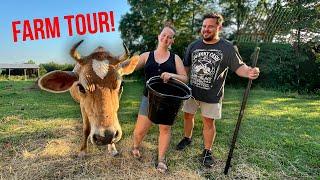 Daily Bumps Homestead Farm Tour 2024!   (All Our Animals)