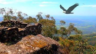 GREAT BEGINNER HIKE, 1-8 HOURS, Barren Grounds Nature Reserve NSW