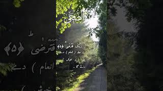 Surah dhuha #quran #qurantilawat #shortsfeed #shorts #shortvideo #short #shortsviral