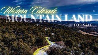 Mountain Property for Sale in Cedaredge, CO | 37.54 Wooded Acres Near Grand Mesa