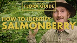 Salmonberry - how to ID them! || Nerdy About Nature Flora Guide