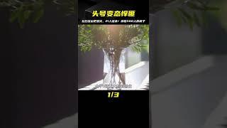 頭號變態悍匪，比白寶山更惡劣，研讀兵法殺害21人揚言殺夠500人 #案件 #探案 #懸案 #懸疑 #案件解說