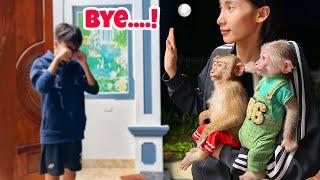 The video ending the story of the missing monkey PiPi has both joy and sadness