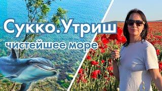 #анапа Сукко. Большой Утриш. Нашли чистое море!!! Пробирались на поле с маками!!!