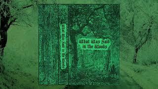 What Was Said In the Woods - S/T (2024)
