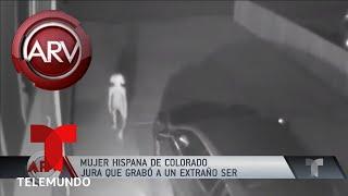 Mujer hispana asegura que grabó a un extraterrestre | Al Rojo Vivo | Telemundo