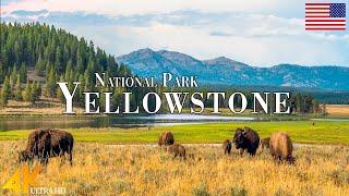 Yellowstone National Park 4K Ultra HD • Stunning Footage, Scenic Relaxation Film with Calming Music.