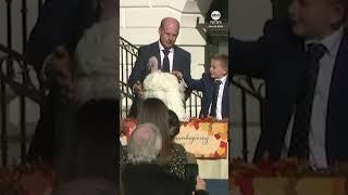 Biden pardons turkeys Peach and Blossom in annual White House tradition