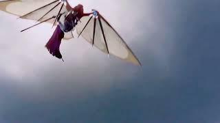 Tencent video -ANIMATION #animation #love #video (️)