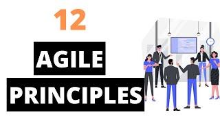 What are agile principles? | 12 Agile Principles | CT Academy