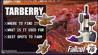 Where to Find Tarberry | Fallout 76 Farming Guide | How to Craft Lead Champagne