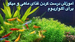 Shrimps Food - آموزش درست کردن غذا برای میگوهای آکواریوم