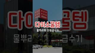 다이소 보틀 물뿌리개 와 자동급수기세트로 화분에 물주기