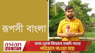 বন্যা থেকে কিভাবে গবাদি পশুর পরিত্রান পাওয়া যায় | রূপসী বাংলা | Ruposhi Bangla | Episode 76