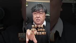 땡초 옆에 심은 고추는 더 매워질까요?