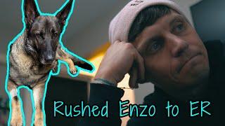 ENZO RUSHED TO ER! - We Don't Know what's Wrong with our German Shepherd. Part I