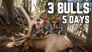 The MOST INTENSE  Rifle Elk Hunt EVER!