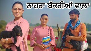 ਨਾਹਰ ਬੱਕਰੀਆਂ ਵਾਲੇ ਦਾ ਮੈਡਮ ਨਾਲ ਵਿਆਹ (PUNJABI SHORT MOVI ) nahar bakriya wala