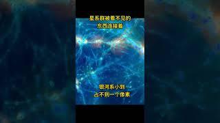 宇宙的星系群结构，像人的大脑神经？宇宙星系呈现出层次化和丝状的结构，分布在空洞周围？