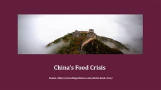 Chinas Food Crisis