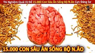 Thí Nghiệm Quái Dị Để 15.000 Con Sâu Ăn Sống Bộ N.ão Cực Đáng Sợ || Review Giải Trí Đời Sống