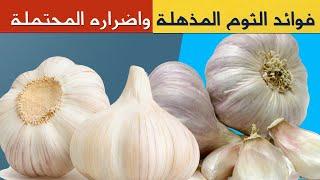 الثوم 10 فوائد مذهلة للجسم ومتى يكون الثوم ضار؟