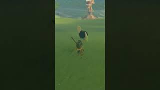 Geting A Horse Early - Zelda Tears of the Kingdom