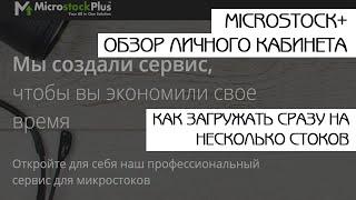 Обзор личного кабинета microstock plus | Микросток плюс | Как грузить на несколько стоков сразу