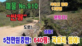 급매 싼땅 1급수 샘물 국유지 임야 13만평 접 사정지 접 2116㎡ 640평 5천만원중반대 시골 땅 외진 땅 충북 단양군 영춘면 유암리 토지 매매 영춘부동산 단양부동산 급매 매매