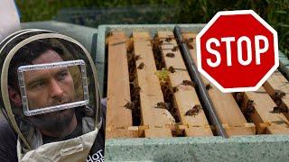 STOP - THIS Is How To Maximise Your Honey Harvest!