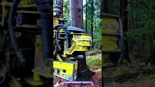 Insane Tree Cutting Machine!  Slices in Seconds!  #technology #viral #machine