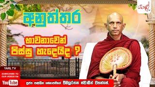 අනුත්තර | භාවනාවෙන් පිස්සු හැදෙයිද ?  | පූජ්‍ය විමලරතන ස්වාමින් වහන්සේ | Episode 09