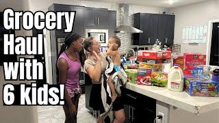 Real Life Big Family Grocery Haul Vlog -Christy Gior