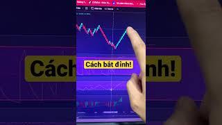Cách bắt đỉnh - Hoà Thân