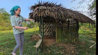 Bamboo House 2024: Girl builds a wall for a bamboo house in the forest -single mom life |samthihuong