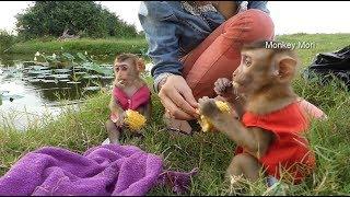 Baby Mori And Baby Dodo Much Happy To Eat Pop Corn At Lotus Landscape